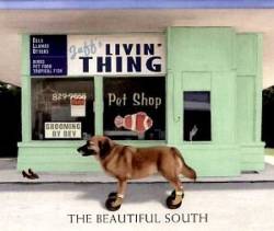 Beautiful South : Livin' Thing